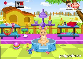 Картинка к игре Уход за кроликом